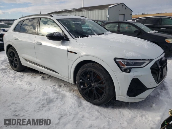 2022 Audi e-tron Premium with VIN WA1AAAGE4NB023103, listed as a Copart auction lot 43551575 with 97,461 mi miles and Salvage Title. Bid and sale history available at DreamBid. Image 4.
