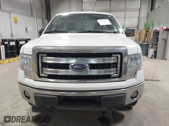 2013 Ford F-150 XL with VIN 1FTMF1EF0DKE09645, listed as a IAAI auction lot 41562685 with 280,266 mi miles and . Bid and sale history available at DreamBid. Image 13.