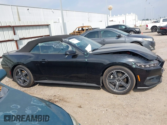2025 Ford Mustang EcoBoost with VIN 1FAGP8UH9S5105110, listed as a IAAI auction lot 41808310 with 3,703 mi miles. Bid and sale history available at carsss.com. Image 13.