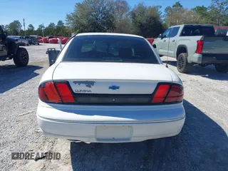1998 Chevrolet Lumina with VIN 2G1WL52M9W9118618, listed as a IAAI auction lot 41582985 with 105,833 mi miles and . Bid and sale history available at DreamBid. Image 15.