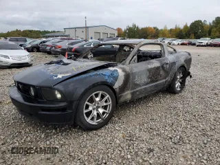 2008 Ford Mustang Deluxe with VIN 1ZVHT80N385125655, listed as a Copart auction lot 78388804 with Not provided miles and Non repairable. Bid and sale history available at DreamBid. Image 1.