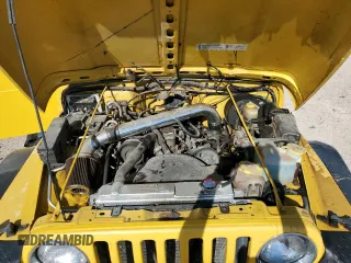 2001 Jeep Wrangler SE with VIN 1J4FA29P81P308796, listed as a Copart auction lot 66028964 with 178,271 mi miles and Salvage Title. Bid and sale history available at carsss.com. Image 12.