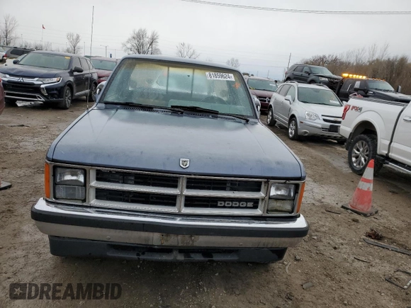 1989 Dodge Dakota with VIN 1B7FL26X3KS146546, listed as a Copart auction lot 81859624 with 16,824 mi miles and Clean Title. Bid and sale history available at carsss.com. Image 5.
