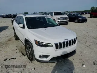2020 Jeep Cherokee Limited with VIN 1C4PJLDB1LD564925, listed as a Copart auction lot 56084435 with 119,735 mi miles and Salvage title. Bid and sale history available at DreamBid. Image 14.