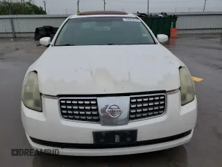 2006 Nissan Maxima SL with VIN 1N4BA41E26C844769, listed as a Copart auction lot 52029575 with 185,689 mi miles and Salvage title. Bid and sale history available at DreamBid. Image 5.