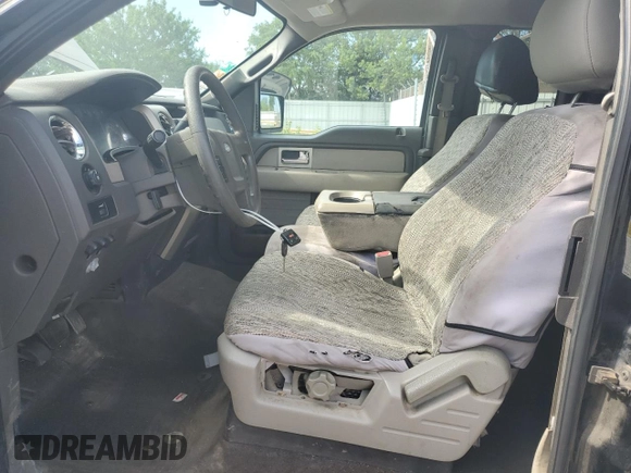 2010 Ford F-150 XL with VIN 1FTEX1C86AFD96491, listed as a Copart auction lot 62287115 with 283,496 mi miles and Clean title. Bid and sale history available at DreamBid. Image 7.