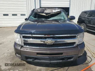 2007 Chevrolet Silverado 1500 with VIN 1GCEC19Y87Z535644, listed as a Copart auction lot 49467895 with 171,782 mi miles and Salvage Title. Bid and sale history available at DreamBid. Image 5.