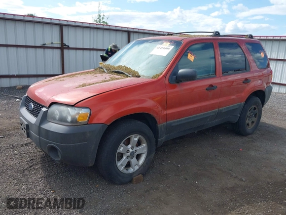 2006 Ford Escape XLT with VIN 1FMCU93136KB88998, listed as a IAAI auction lot 42410306 with 186,892 mi miles and . Bid and sale history available at DreamBid. Image 2.