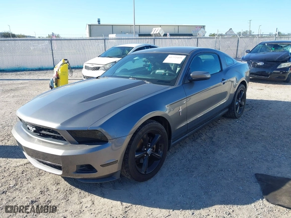 2010 Ford Mustang V6 with VIN 1ZVBP8AN3A5165457, listed as a IAAI auction lot 41772435 with 142,226 mi miles. Bid and sale history available at carsss.com. Image 17.