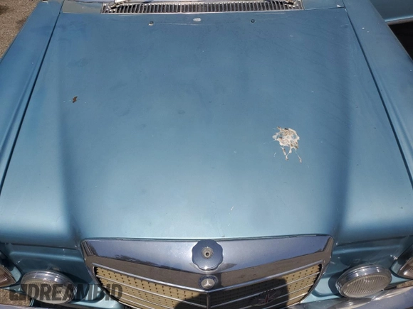 1973 Mercedes-Benz C z VIN 11407312001252, wystawiony jako Copart lot #64878085 z przebiegiem 75 146 mil mil oraz Czysty tytuł • Clean title. Historia ofert i sprzedaży dostępna na DreamBid. Obrazek 11.
