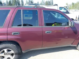 2006 Chevrolet TrailBlazer LS with VIN 1GNDS13S862111494, listed as a IAAI auction lot 42100731 with 234,121 mi miles and . Bid and sale history available at DreamBid. Image 13.