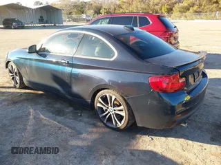 2015 BMW 2 Series 228i with VIN WBA1F5C53FV257153, listed as a IAAI auction lot 41294335 with 99,919 mi miles. Bid and sale history available at carsss.com. Image 3.
