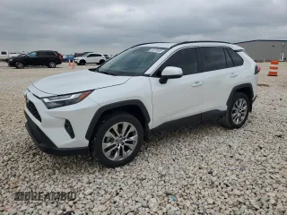 2024 Toyota RAV4 XLE Premium with VIN 2T3C1RFV1RW301807, listed as a Copart auction lot 54978805 with 24,393 mi miles and Clean title. Bid and sale history available at DreamBid. Image 1.