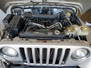 2003 Jeep Wrangler X with VIN 1J4FA39S43P350248, listed as a Copart auction lot 52089395 with 162,524 mi miles and Salvage Title. Bid and sale history available at carsss.com. Image 12.