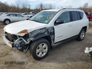 2014 Jeep Compass Altitude with VIN 1C4NJCBA5ED749760, listed as a Copart auction lot 58363764 with 113,120 mi miles and Salvage Title. Bid and sale history available at carsss.com. Image 1.