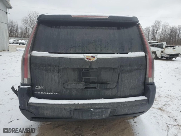 2017 Cadillac Escalade Platinum with VIN 1GYS4DKJ9HR207272, listed as a Copart auction lot 44024135 with 92,820 mi miles and Clean Title. Bid and sale history available at carsss.com. Image 6.