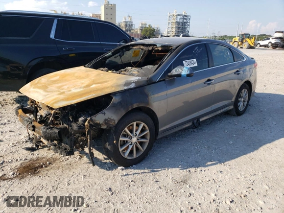 2019 Hyundai Sonata SE with VIN 5NPE24AFXKH772232, listed as a Copart auction lot 72905174 with Not Provided miles and Salvage Title. Bid and sale history available at DreamBid. Image 1.