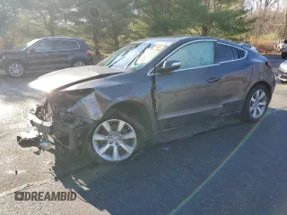 2010 Acura ZDX Tech Pkg with VIN 2HNYB1H49AH501292, listed as a Copart auction lot 81231484 with 0 mi miles and Salvage Title. Bid and sale history available at carsss.com. Image 1.