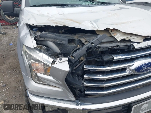 2017 Ford F-150 XL with VIN 1FTFX1EF8HFA39209, listed as a IAAI auction lot 41168440 with 111,704 mi miles. Bid and sale history available at carsss.com. Image 6.