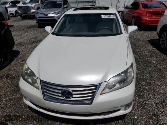 2012 Lexus ES 330 with VIN JTHBK1EG6C2504073, listed as a Copart auction lot 60984045 with Not provided miles and Salvage title. Bid and sale history available at DreamBid. Image 5.