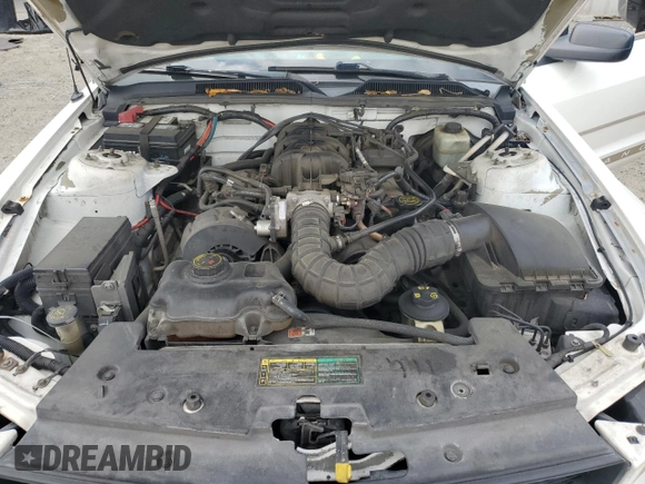 2005 Ford Mustang Deluxe with VIN 1ZVFT80N055206227, listed as a Copart auction lot 54861085 with 235,462 mi miles and Salvage Title. Bid and sale history available at carsss.com. Image 11.