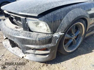 2006 Ford Mustang GT Deluxe with VIN 1ZVFT82H065257638, listed as a IAAI auction lot 40384311 with Not provided miles and . Bid and sale history available at DreamBid. Image 17.