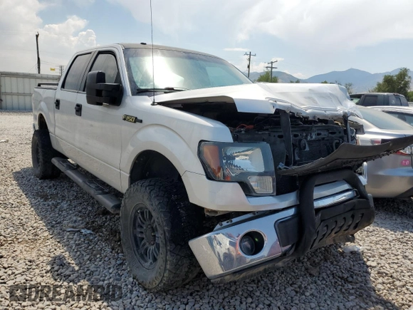 2009 Ford F-150 XL with VIN 1FTRW12879FA42609, listed as a Copart auction lot 62177534 with 157,629 mi miles and Salvage Title. Bid and sale history available at carsss.com. Image 4.