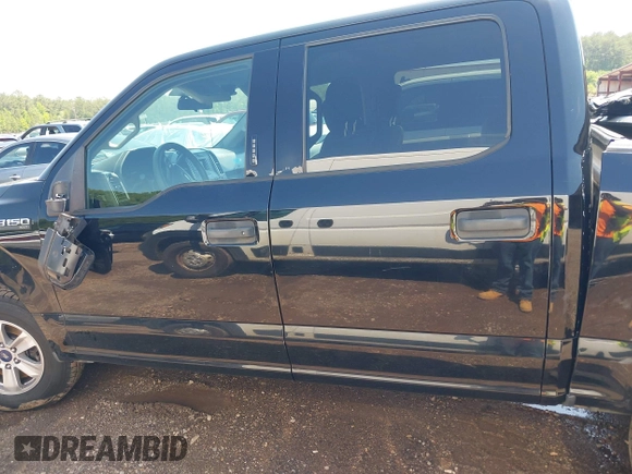 2017 Ford F-150 XL with VIN 1FTEW1C80HKD11438, listed as a IAAI auction lot 42269102 with 195,119 mi miles and . Bid and sale history available at DreamBid. Image 14.