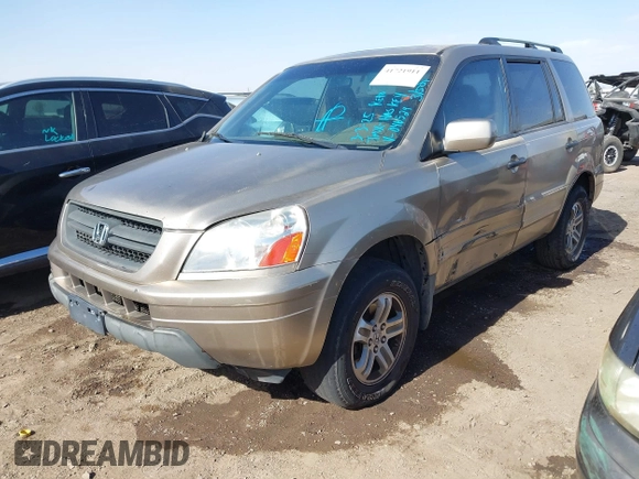 2005 Honda Pilot EX-L with VIN 5FNYF18585B046529, listed as a IAAI auction lot 41721911 with 223,266 mi miles. Bid and sale history available at carsss.com. Image 2.