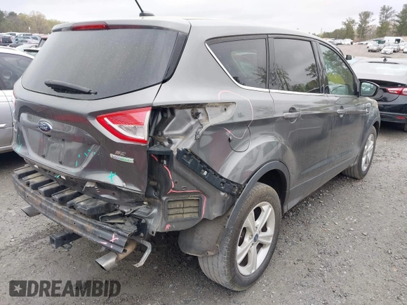 2014 Ford Escape SE with VIN 1FMCU0GX4EUB37846, listed as a IAAI auction lot 41913346 with 131,982 mi miles. Bid and sale history available at carsss.com. Image 4.