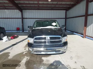 2010 Dodge Ram 1500 Sport with VIN 3D7JV1ET4AG183565, listed as a IAAI auction lot 41261584 with 124,281 mi miles. Bid and sale history available at carsss.com. Image 12.