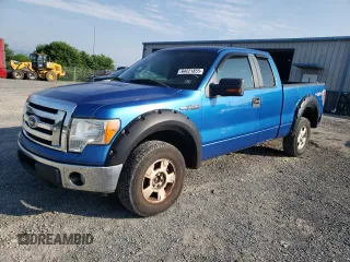 2010 Ford F-150 XL with VIN 1FTEX1E86AKB83433, listed as a Copart auction lot 64221855 with 294,443 mi miles and Salvage title. Bid and sale history available at DreamBid. Image 1.