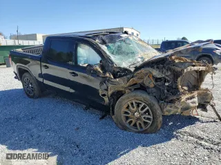 2020 GMC Sierra 1500 AT4 with VIN 1GTP9EEL9LZ359724, listed as a Copart auction lot 50170725 with 0 mi miles and Salvage Title. Bid and sale history available at carsss.com. Image 4.