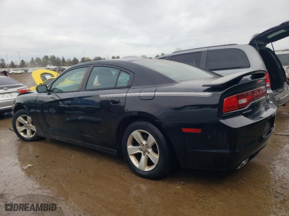 2013 Dodge Charger SE with VIN 2C3CDXBG3DH737459, listed as a Copart auction lot 46648645 with 119,487 mi miles and Salvage Title. Bid and sale history available at carsss.com. Image 2.