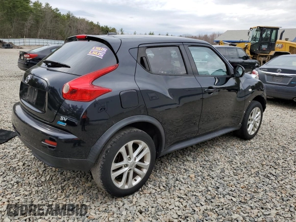 2013 Nissan Juke SV with VIN JN8AF5MR4DT222607, listed as a Copart auction lot 53576635 with Not Provided miles and Clean Title. Bid and sale history available at carsss.com. Image 3.