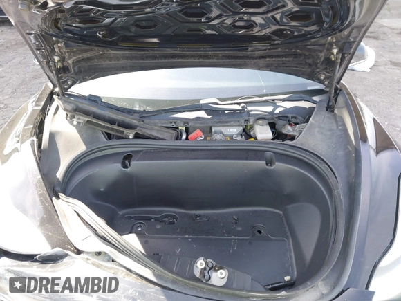 2019 Tesla Model 3 Mid Range with VIN 5YJ3E1EA1KF410297, listed as a IAAI auction lot 41841991 with 176,254 mi miles. Bid and sale history available at carsss.com. Image 10.
