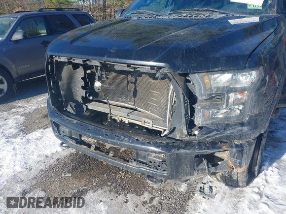 2017 Ford F-150 XL with VIN 1FTFX1EF1HFA23112, listed as a IAAI auction lot 41395236 with 96,848 mi miles. Bid and sale history available at carsss.com. Image 6.