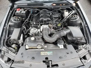 2009 Ford Mustang with VIN 1ZVHT80N195135604, listed as a Copart auction lot 42950405 with 108,450 mi miles and Salvage Title. Bid and sale history available at carsss.com. Image 11.