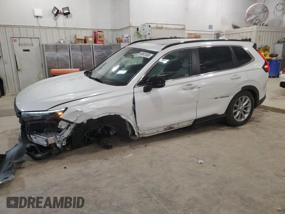 2023 Honda CR-V Sport Touring with VIN 7FARS6H91PE014772, listed as a Copart auction lot 50601505 with 39,722 mi miles and Salvage Title. Bid and sale history available at DreamBid. Image 1.