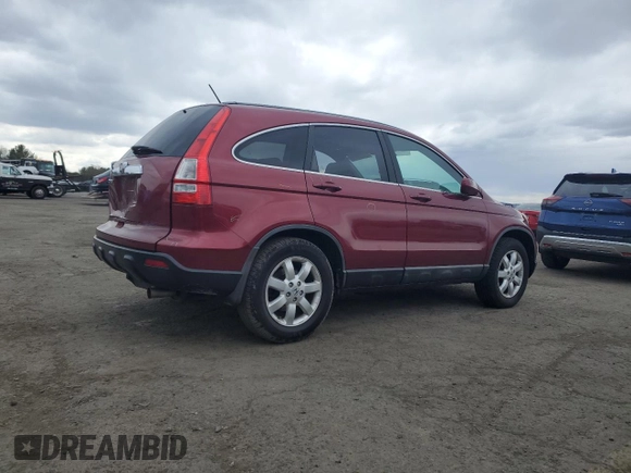 2008 Honda CR-V EX-L with VIN 5J6RE48748L049353, listed as a Copart auction lot 50876885 with 183,530 mi miles and Salvage Title. Bid and sale history available at carsss.com. Image 3.