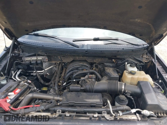 2010 Ford F-150 XL with VIN 1FTEX1E8XAFD42124, listed as a IAAI auction lot 42498070 with 92,876 mi miles and . Bid and sale history available at DreamBid. Image 10.