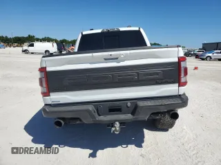2023 Ford F-150 Raptor with VIN 1FTFW1RG1PFB24123, listed as a Copart auction lot 49594495 with 24,175 mi miles and Salvage Title. Bid and sale history available at DreamBid. Image 6.