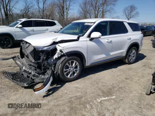 2020 Hyundai Palisade SE с VIN KM8R14HEXLU051493, выставлен на аукционе Copart как лот 48332785 с пробегом 124 451 миль миль и На запчасти • Non repairable. История ставок и продаж доступна на DreamBid. Изображение 1.