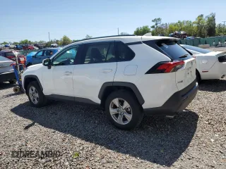 2023 Toyota RAV4 XLE with VIN 2T3W1RFVXPC216198, listed as a Copart auction lot 49070535 with 19,666 mi miles and Salvage Title. Bid and sale history available at carsss.com. Image 2.