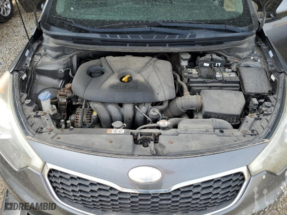 2014 Kia Forte EX with VIN KNAFX4A8XE5076415, listed as a Copart auction lot 50008265 with 123,643 mi miles and Clean Title. Bid and sale history available at carsss.com. Image 11.