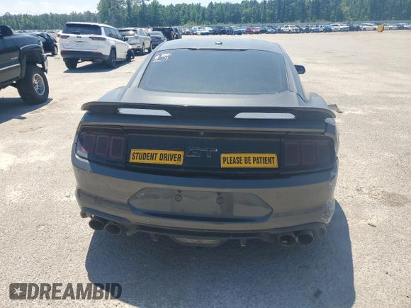 2019 Ford Mustang GT with VIN 1FA6P8CF4K5184455, listed as a Copart auction lot 48125085 with 73,983 mi miles and Salvage Title. Bid and sale history available at carsss.com. Image 6.