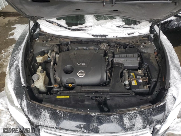2009 Nissan Maxima 3.5 SV with VIN 1N4AA51E49C811990, listed as a Copart auction lot 86297294 with 232,177 mi miles and Salvage Title. Bid and sale history available at carsss.com. Image 11.