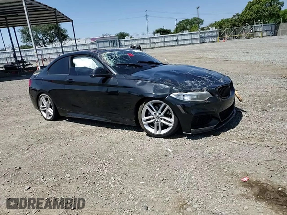 2016 BMW 2 Series 228i with VIN WBA1F9C53GV546624, listed as a Copart auction lot 57800425 with 96,608 mi miles and Salvage title. Bid and sale history available at DreamBid. Image 13.