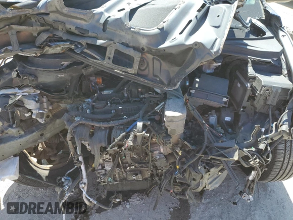 2019 Hyundai Santa Fe Limited with VIN 5NMS53AD6KH039661, listed as a Copart auction lot 49843095 with 0 mi miles and Salvage Title. Bid and sale history available at carsss.com. Image 12.