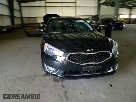 2015 Kia Cadenza Premium with VIN KNALN4D73F5171251, listed as a Copart auction lot 82000444 with 1,466,161 mi miles and Salvage Title. Bid and sale history available at carsss.com. Image 10.